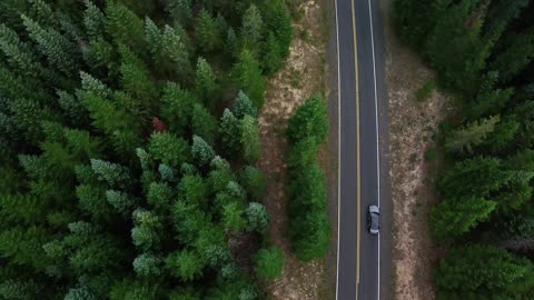 panning shot of car driving through forest