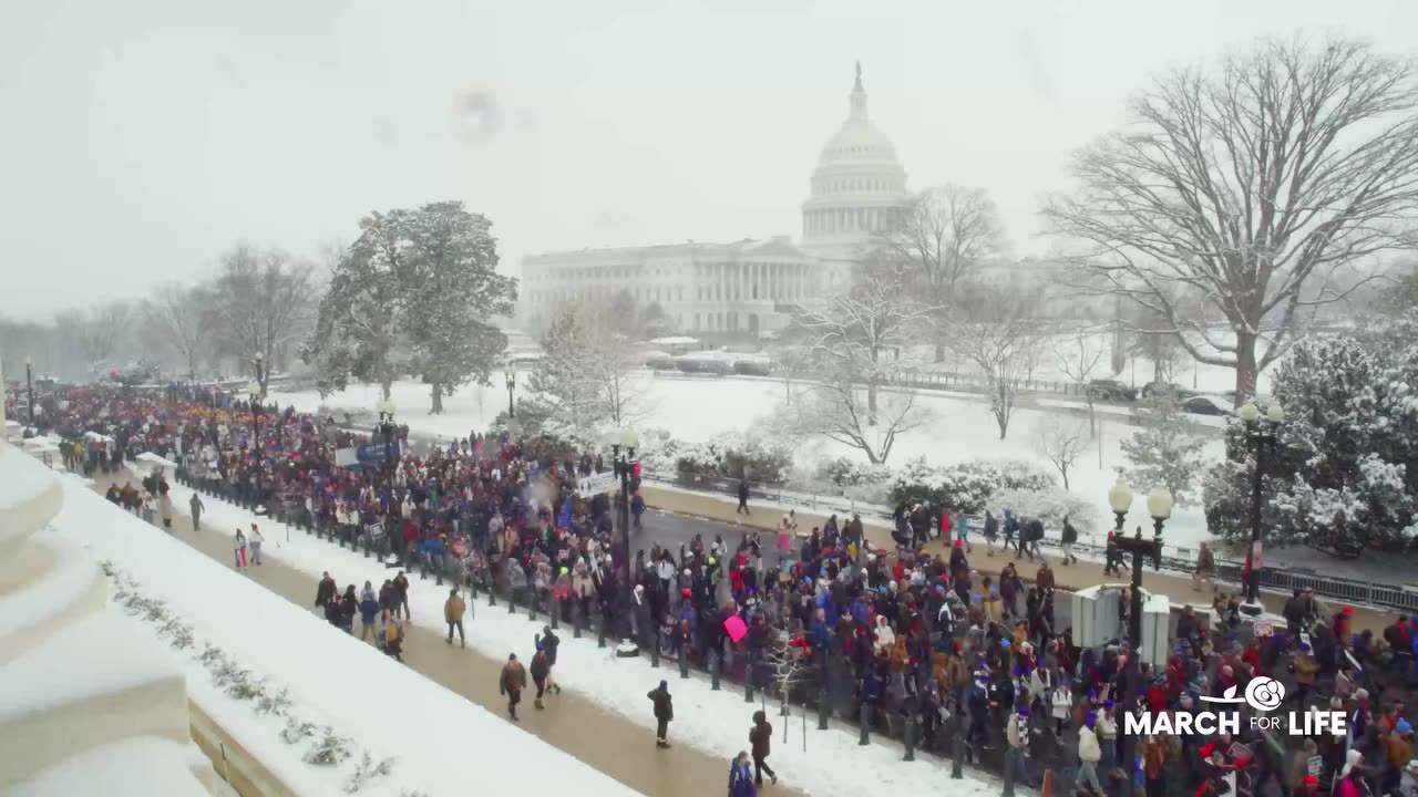 March For Life, 32 Degrees, Wahington DC, 2024