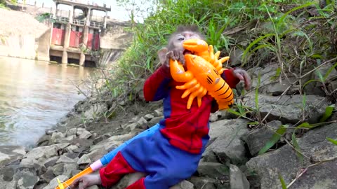 cute little monkey goes for fishing