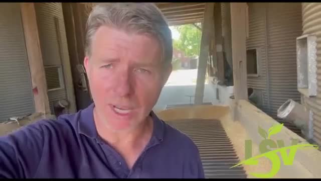 Kein backfähiges Weizen mehr aus Deutschland wegen schwachsinniger Düngeverordnungen