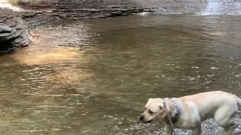 Buttermilk Falls