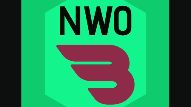 NWO Bounty Hunters, Crypto Token Whitepaper Project
