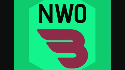 NWO Bounty Hunters, Crypto Token Whitepaper Project