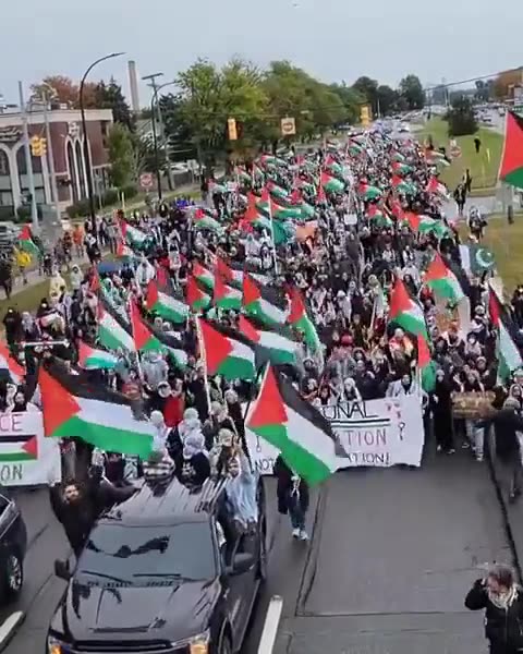 Welcome to the Emirate of Michigan