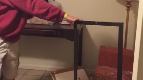 Hoodie kicks picture out of glass frame