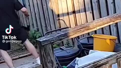 Man vs fence