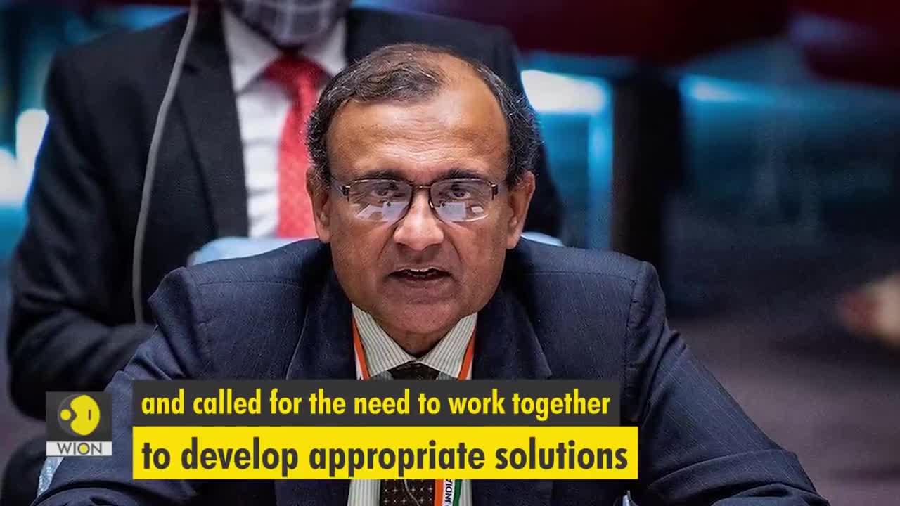 India's envoy at UNSC slams Pakistan: 'We have leaders who continue to defend Osama as a martyr'