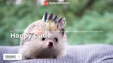 Happy Cutie - Relaxing Music, Study Music, Chill Music (Calm Studio)
