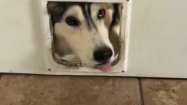 how did you do it?