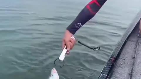 Best fishing video Amazing fishing video