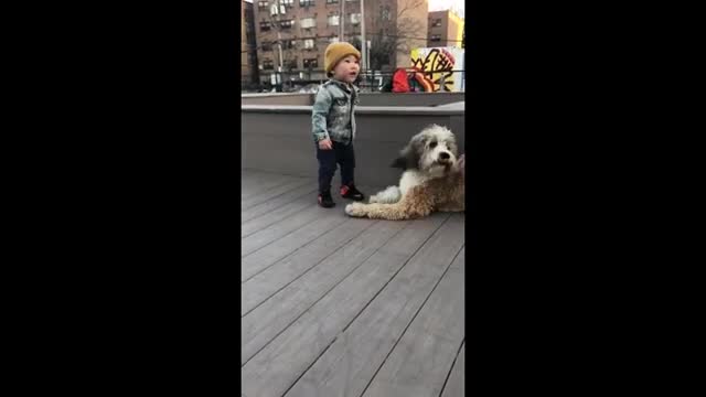 Toddler meet a puppy