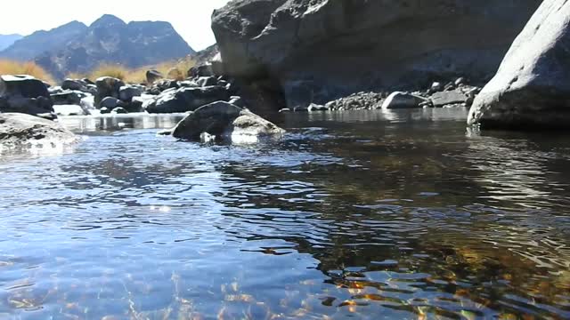 Fresh water flow, a scenery for relaxation and contemplation