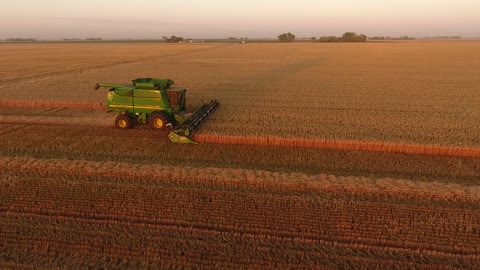 Harvest season