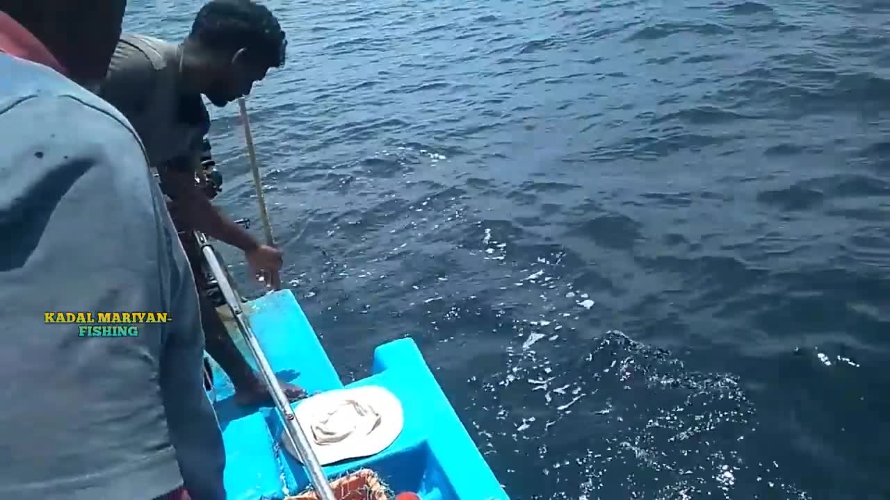 Monster Fish Were Caught From The Open Seas