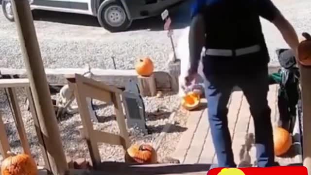 Funniest Hilarious Moments Caught on Security Camera