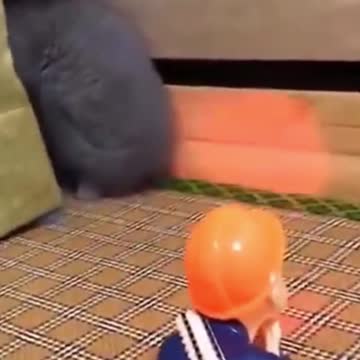 Cutest Try not to Laugh Kittens & Pups-5