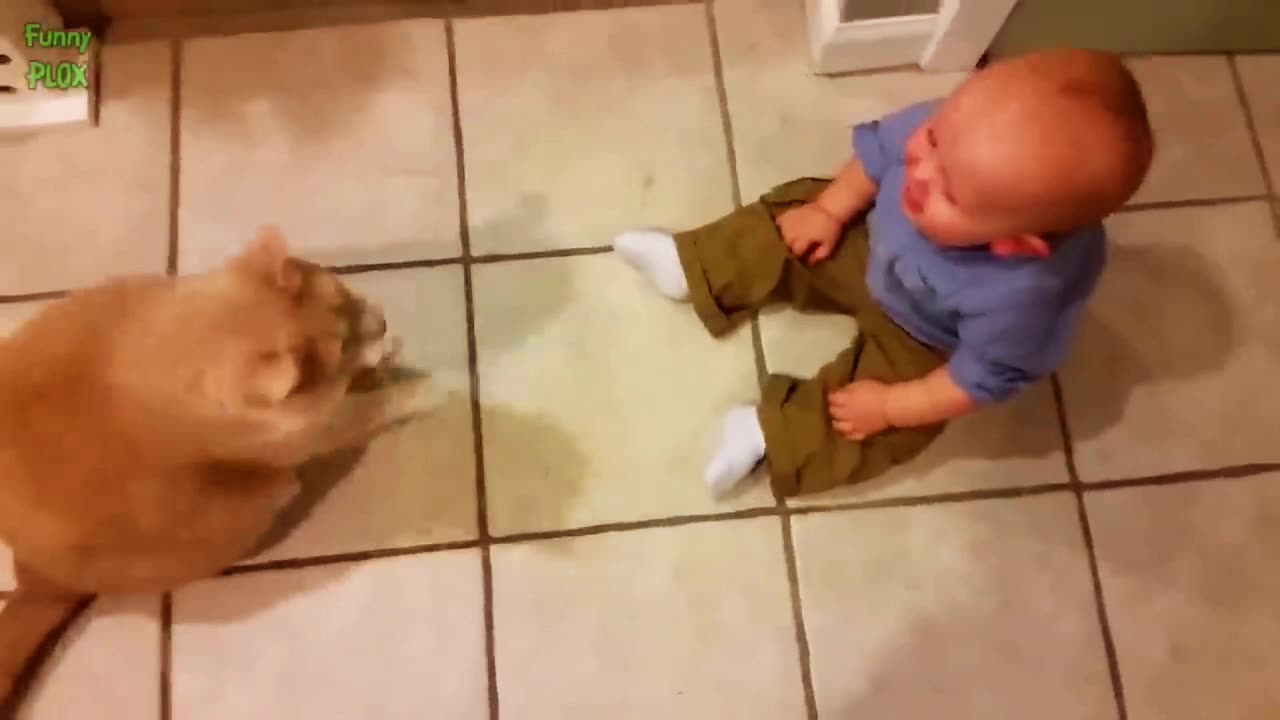 Funny babies laughing hysterically at cats compilation