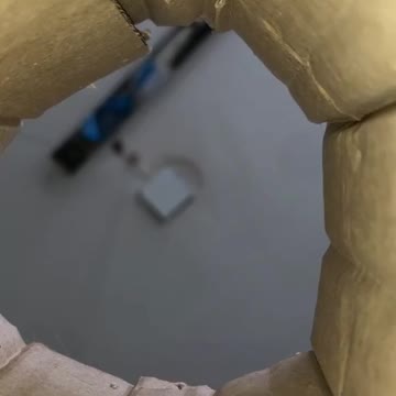 Cute cat wants the camera