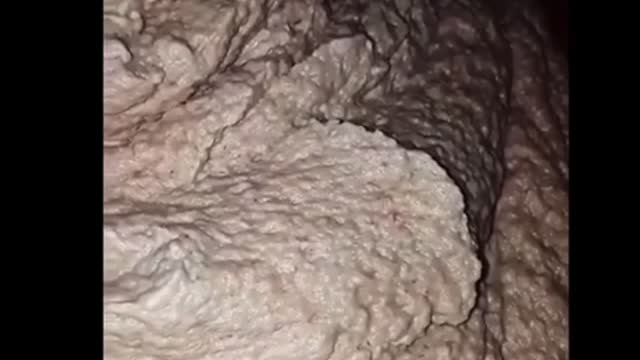 McDonald’s chicken, I’m not loving it!