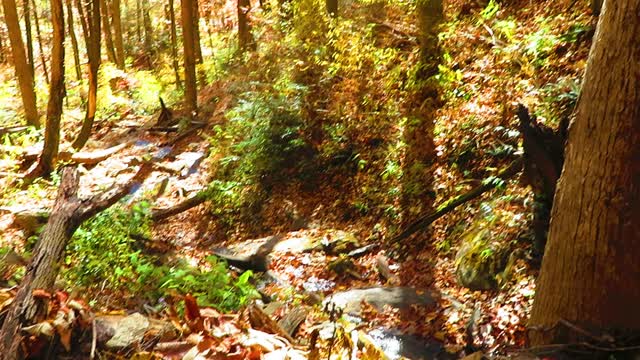 Twin Falls; Western North Carolina