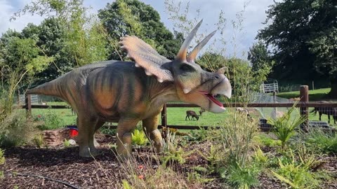 Jurassic NewPark kilkenny ireland