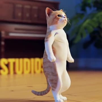Cat Dancing Funny Video