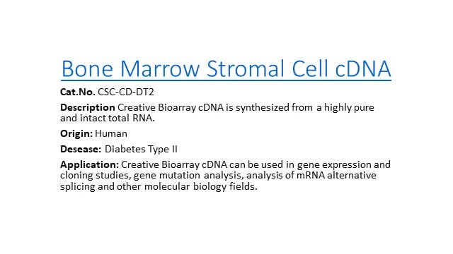 Bone Marrow Mononuclear Cells