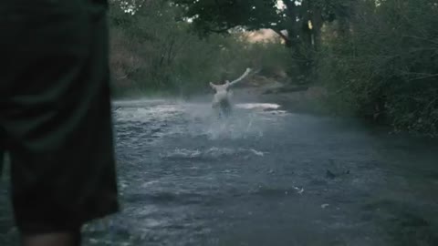 how a dog catches a ball in the river