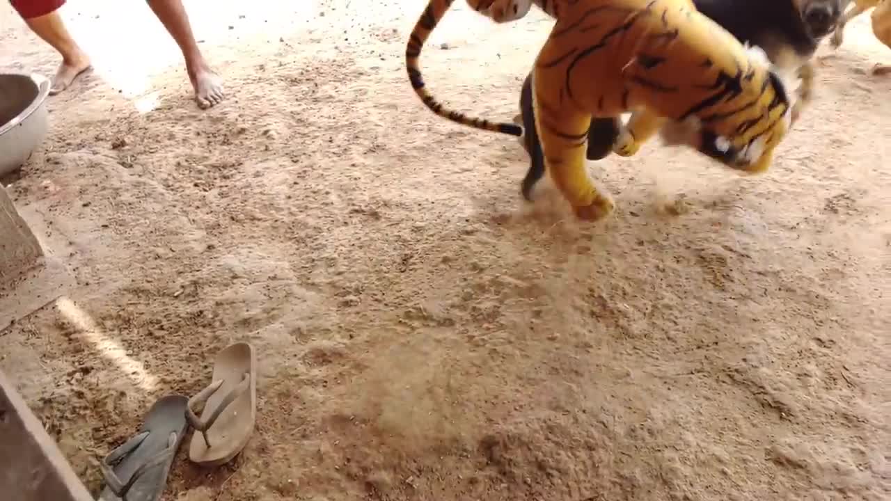 prank video 1