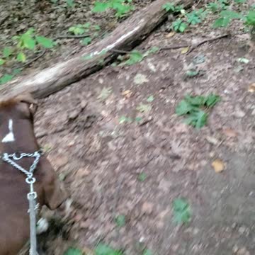 Do you even nature bro?