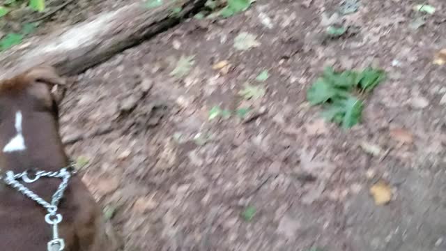 Do you even nature bro?