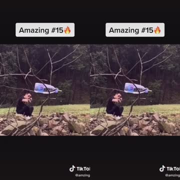 Awesome people doing an amazing thing