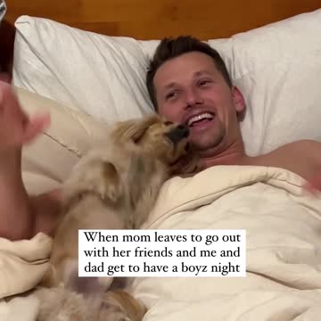 we dogs we party #fun #party #viral