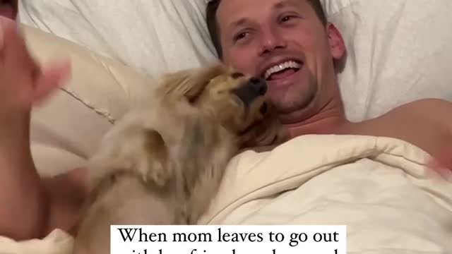 we dogs we party #fun #party #viral