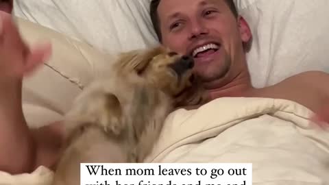 we dogs we party #fun #party #viral