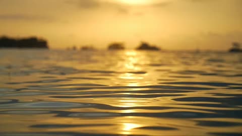 Background Nature Video Sea Water 2023