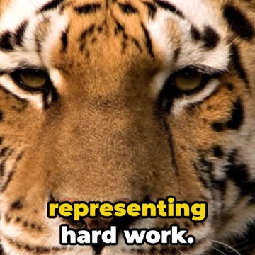 Unveiling the Mysteries of Chinese Astrology with AI