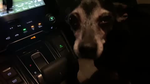 Driving around the Chautauqua airport last night