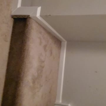 ZOOMIES ZOOMIES ZOOMIES