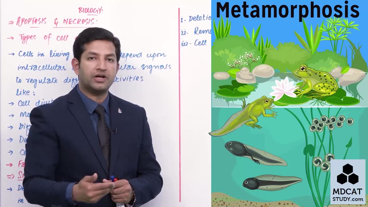 LEC#8 APOPTOSIS AND NECROSIS