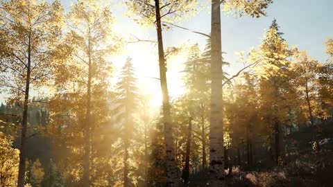 3 HOURS of AMAZING NATURE SCENERY on Planet Earth