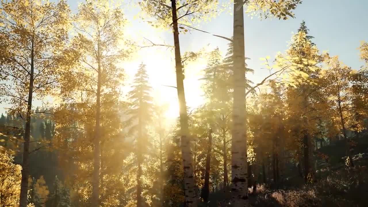 3 HOURS of AMAZING NATURE SCENERY on Planet Earth