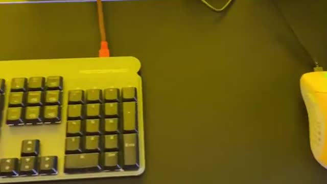 The Setup of PC Gamers in 2022