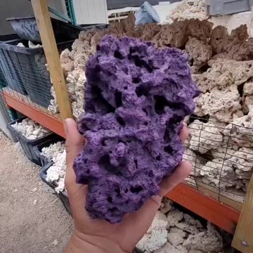 ARK Aquarium Reef Rock