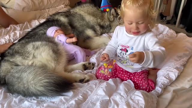 The Best Year Of Our Lives! Baby And Puppy Growing Up Together! (Cutest Ever!!) 17