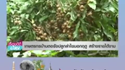 ข่าวเด็ดประเทศไทย #NEWS