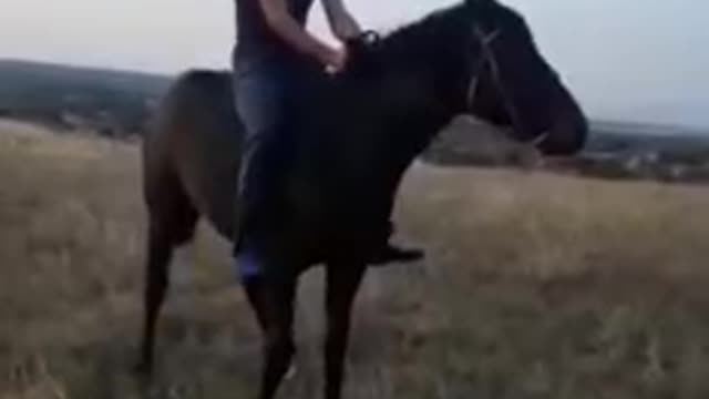 the horse kicked the owner