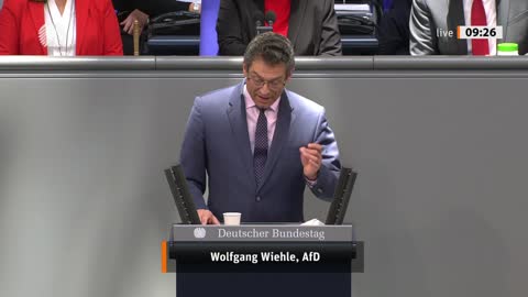 Wolfgang Wiehle Rede vom 24.03.2022 - Wirtschaft und Klimaschutz