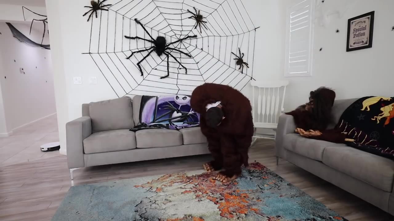 Funny pets