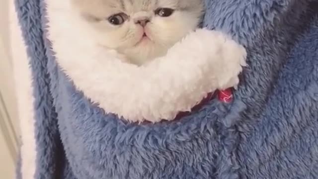 Hello I'm here
